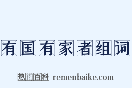 有国有家者组词是什么意思的图片